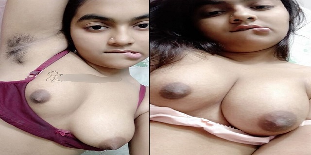 Indian Hairy Armpits Sex - Bengali hairy armpits girl sexy boobs show